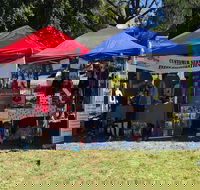 Dogs in the Park Shell Harbour - Accommodation Port Macquarie