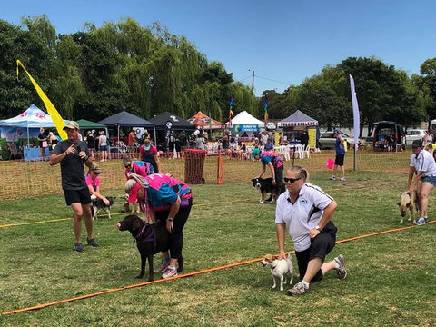 Dogs In The Park Shell Harbour - Accommodation Port Macquarie 1
