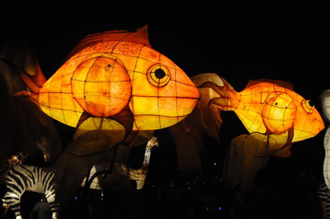 DREAM Festival: Music And Markets Event - Accommodation Port Macquarie 2