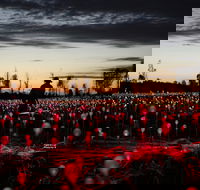 Field of Light Uluru - Accommodation Port Macquarie