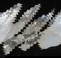 Gemkhana - Accommodation Port Macquarie