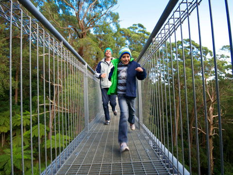 Get Back To Nature These July School Holidays! - Accommodation Port Macquarie 0