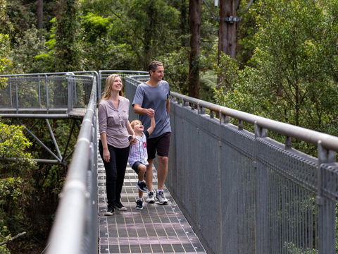 Get Back To Nature These July School Holidays! - Accommodation Port Macquarie 1