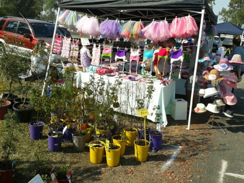Gresford Community Markets - Accommodation Port Macquarie 0