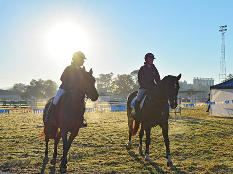 Gunnedah Showjumping Festival - Accommodation Port Macquarie 0