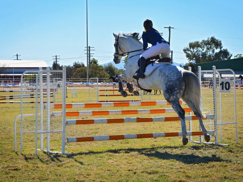 Gunnedah Showjumping Festival - Accommodation Port Macquarie 1