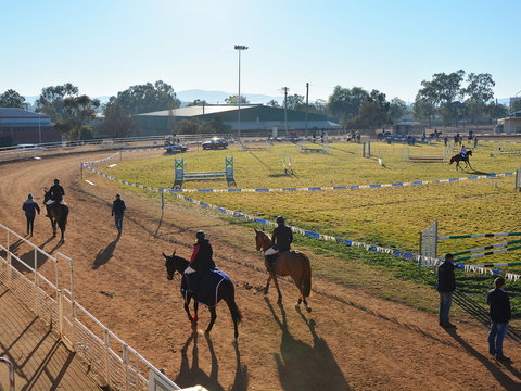 Gunnedah Showjumping Festival - Accommodation Port Macquarie 2