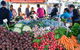 Harvest Launceston Community Farmers' Market - thumb 2