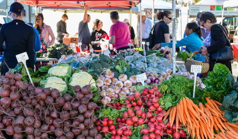 Harvest Launceston Community Farmers' Market - Accommodation Port Macquarie 2