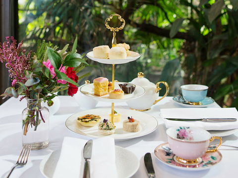High Tea At Melbourne Zoo - Accommodation Port Macquarie 0