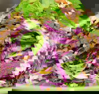 Home style Vietnamese Cooking - Accommodation Port Macquarie