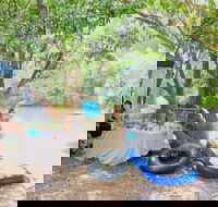 Jungle Love Festival - Accommodation Port Macquarie