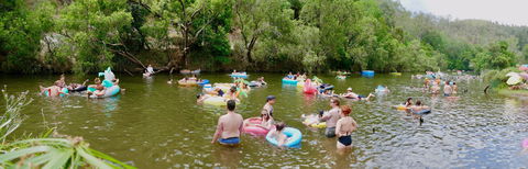 Jungle Love Festival - Accommodation Port Macquarie 1