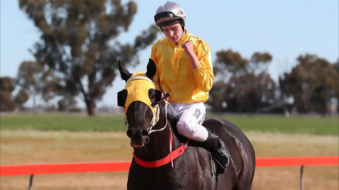 Lockhart Picnic Races - Accommodation Port Macquarie 1