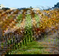 Miners Ridge Wine Tasting - Accommodation Port Macquarie