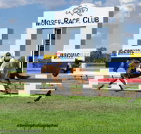 Moree Race Club TAB Race Day - Accommodation Port Macquarie
