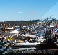 Ocean Harvest Festival - Accommodation Port Macquarie