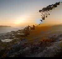 Photowalk with Jon Harris Photography - Nature Photography - Accommodation Port Macquarie