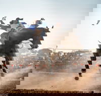 Rodeo by the Sea - Streaky Bay - Accommodation Port Macquarie