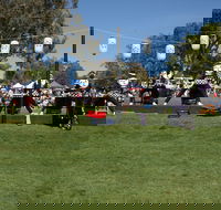 Sakura Matsuri  - Cherry Blossom Festival - in doubt due to Covid-19 - Accommodation Port Macquarie