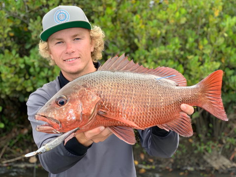SCF Research And Sustainability Competition - Accommodation Port Macquarie 0