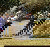 Sculpture for Clyde - Outdoor Exhibition - Accommodation Port Macquarie