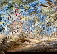 Shimano Mountain Bike Grand Prix  Logan - Accommodation Port Macquarie