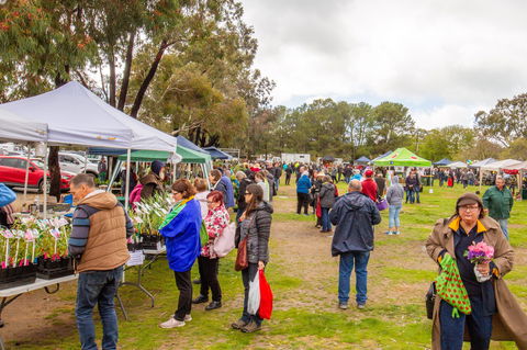 Spring Fling - Accommodation Port Macquarie 1
