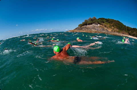 The Straddie Salute Triathlon Festival - Accommodation Port Macquarie 1