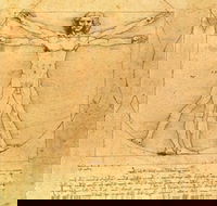 The Real Da Vinci Code - Accommodation Port Macquarie