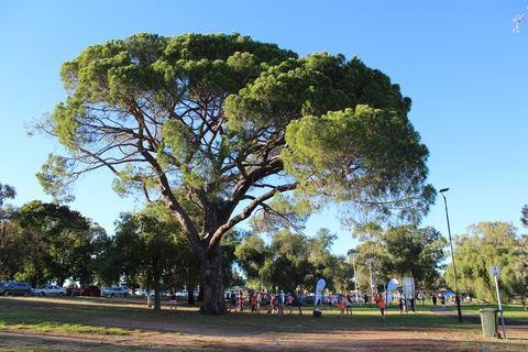 Wagga Parkrun - Accommodation Port Macquarie 1