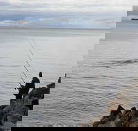 Whale Watching in Portland - Accommodation Port Macquarie