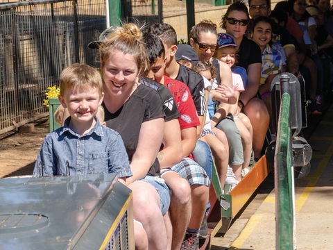 Willans Hill Miniature Railway Rides: Open Days - Accommodation Port Macquarie 0