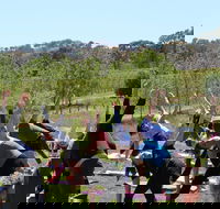 Yoga in the Vines - Accommodation Port Macquarie