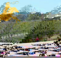 Yoga in the Vines - Accommodation Port Macquarie