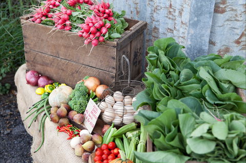 Ma Ma Creek Markets - Accommodation Port Macquarie 0