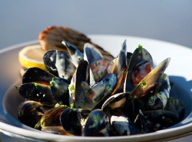 Fratelli Del Mare - Accommodation Port Macquarie 4