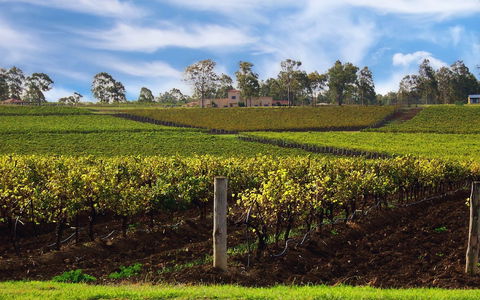 Estate Tuscany - Accommodation Port Macquarie 3