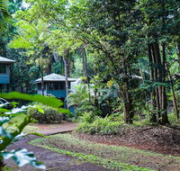 Ferntree Rainforest Lodge - Accommodation Port Macquarie
