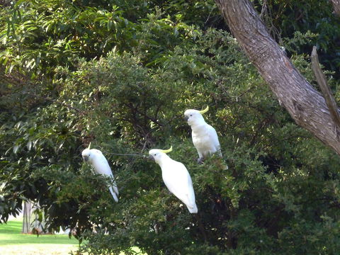 Coachman's Eden - Accommodation Port Macquarie 5