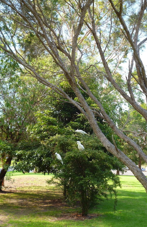 Coachman's Eden - Accommodation Port Macquarie 4