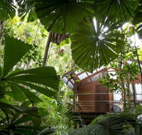Daintree Wilderness Lodge - Accommodation Port Macquarie