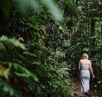 Daintree Ecolodge - Accommodation Port Macquarie