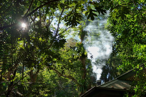 Narrows Escape Rainforest Retreat - Accommodation Port Macquarie 5