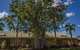The Kimberley Grande Resort - thumb 1