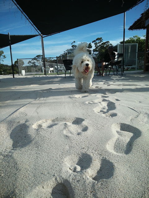 Clare Valley Motel - Accommodation Port Macquarie 5