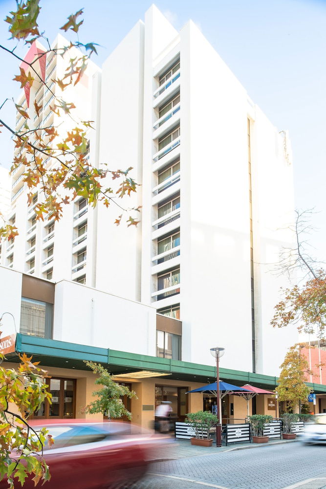 Hovea WA Accommodation Port Macquarie