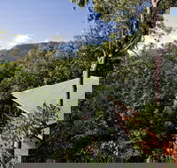 Thala Beach Nature Reserve - Accommodation Port Macquarie