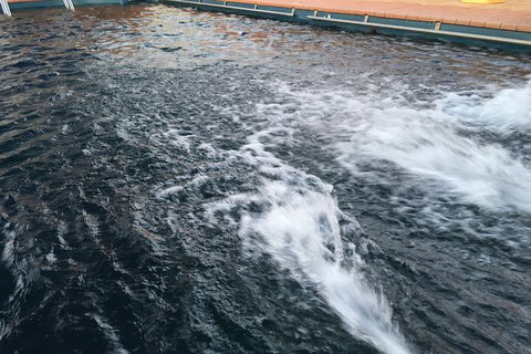 Dragon Phoenix Motel & Restaurant - Accommodation Port Macquarie 6