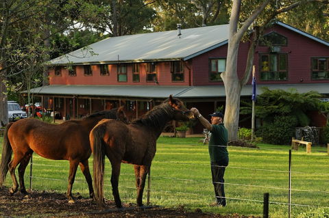 Bilpin Country Lodge - Accommodation Port Macquarie 1